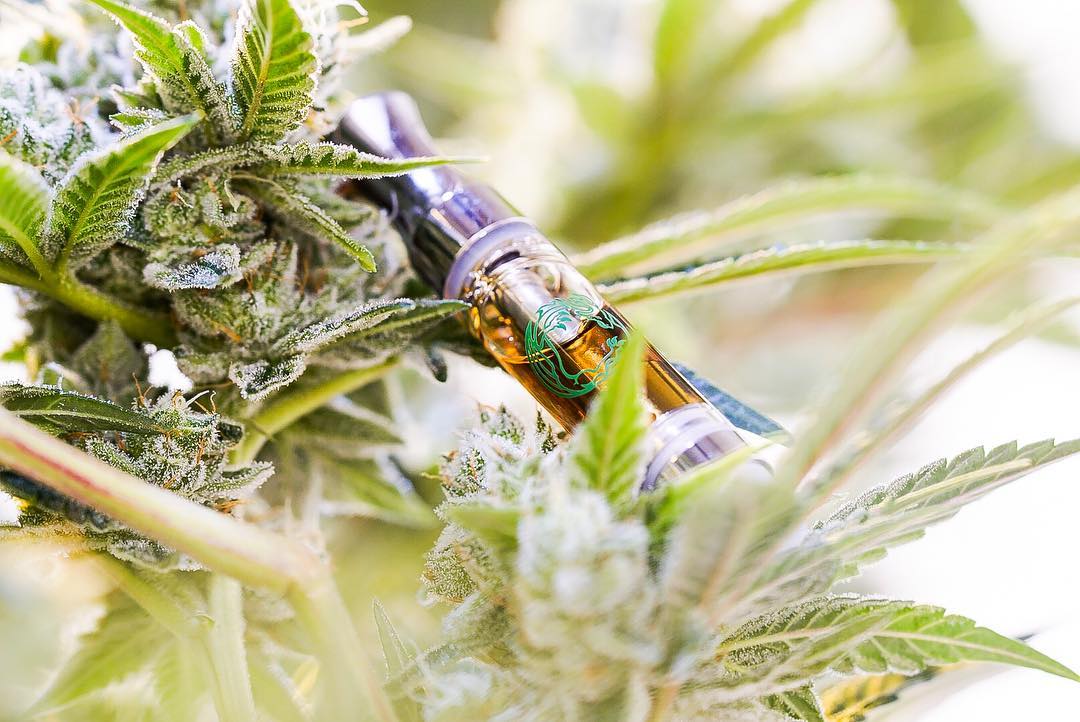 *NEW* Buy Green Dragon Extracts Dispo & Full Gram Vapes!
