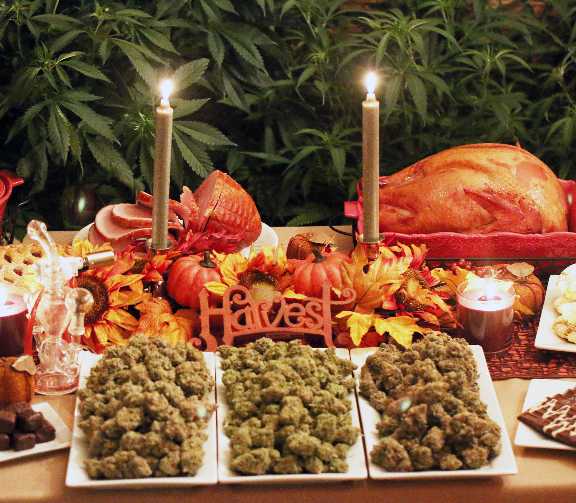 Happy Danksgiving! Store closed for Thanksgiving Day