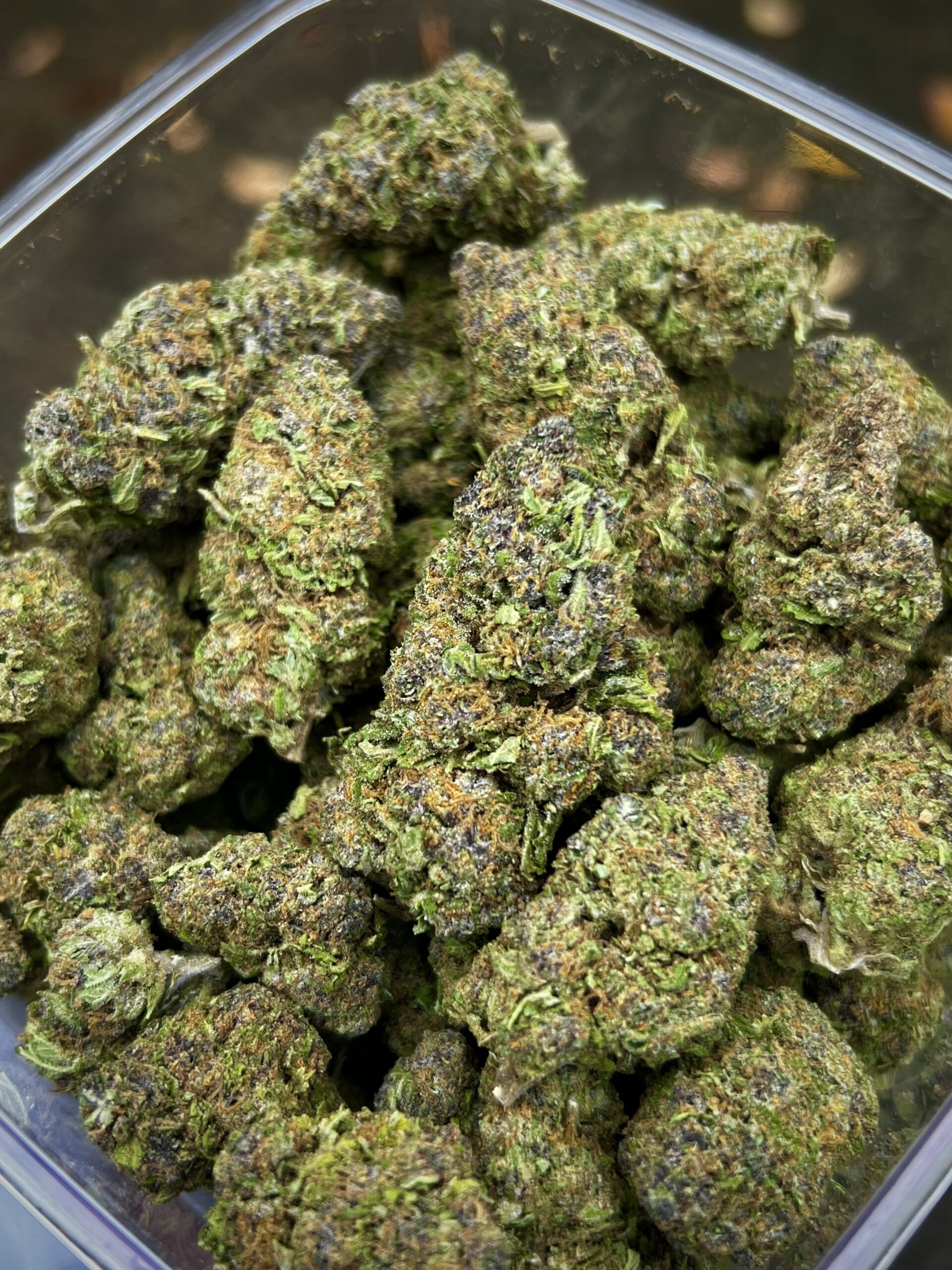 Oregon Roots Incredible flower only $70 an ounce!