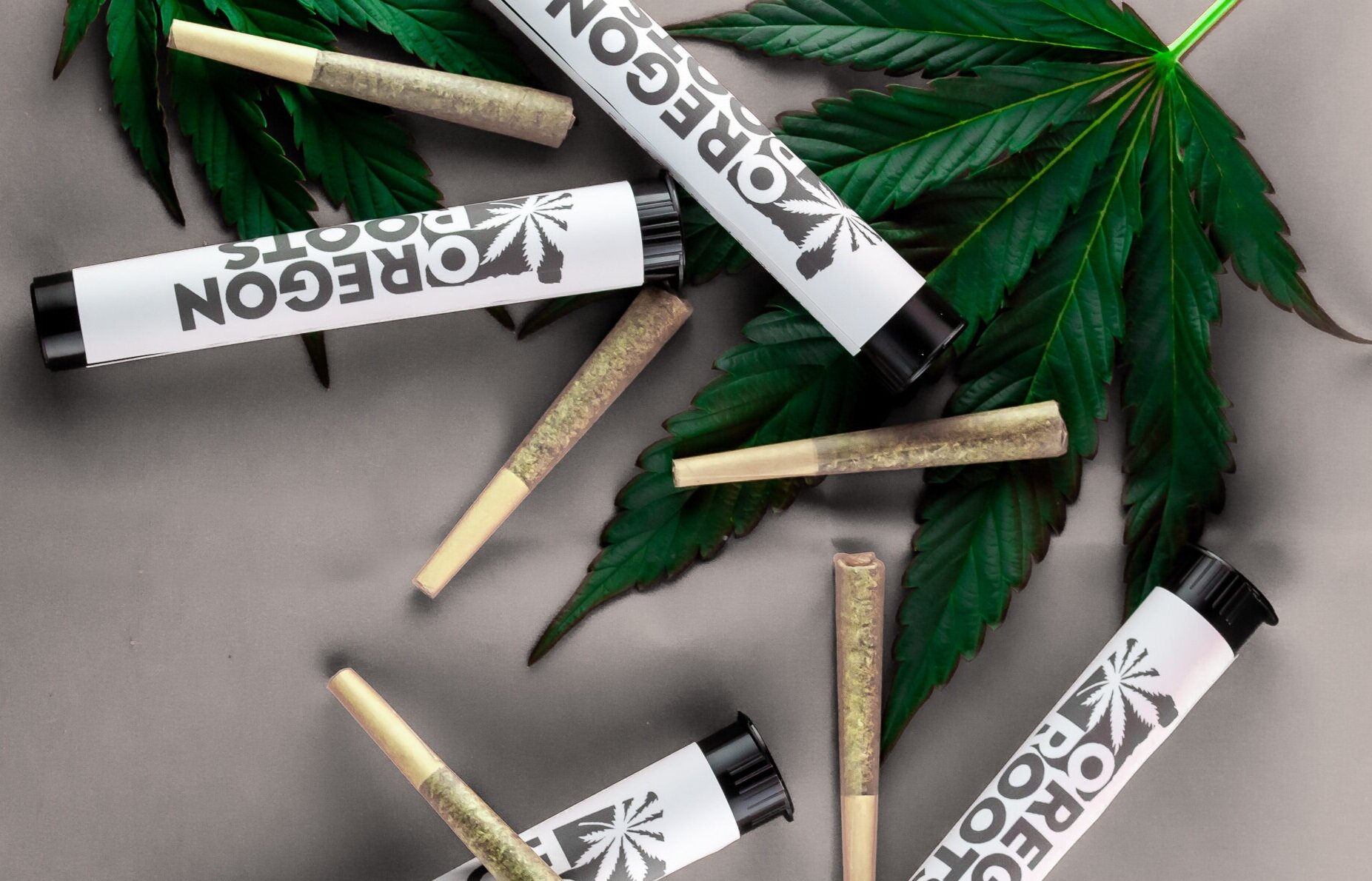 Restock From Shop Favorite – Oregon Roots!! Flower, Pre-Rolls, Dabs & Carts!