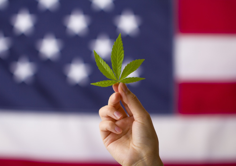 Top 3 Strains To Celebrate Memorial Day!