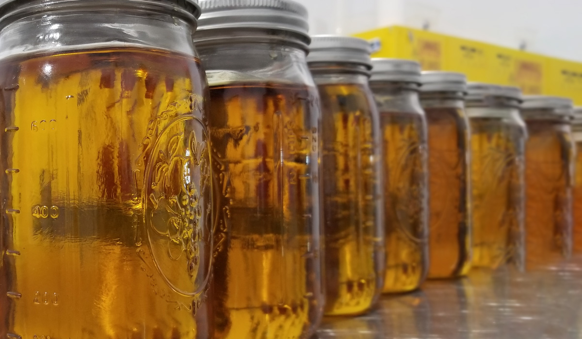 Engineered Extracts – Elevape Cartridges