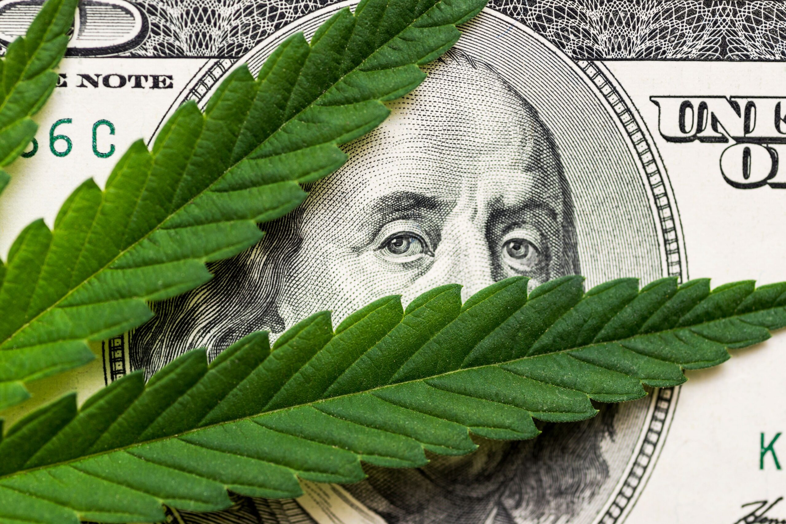 Cannabis Banking Reform Back on the Table