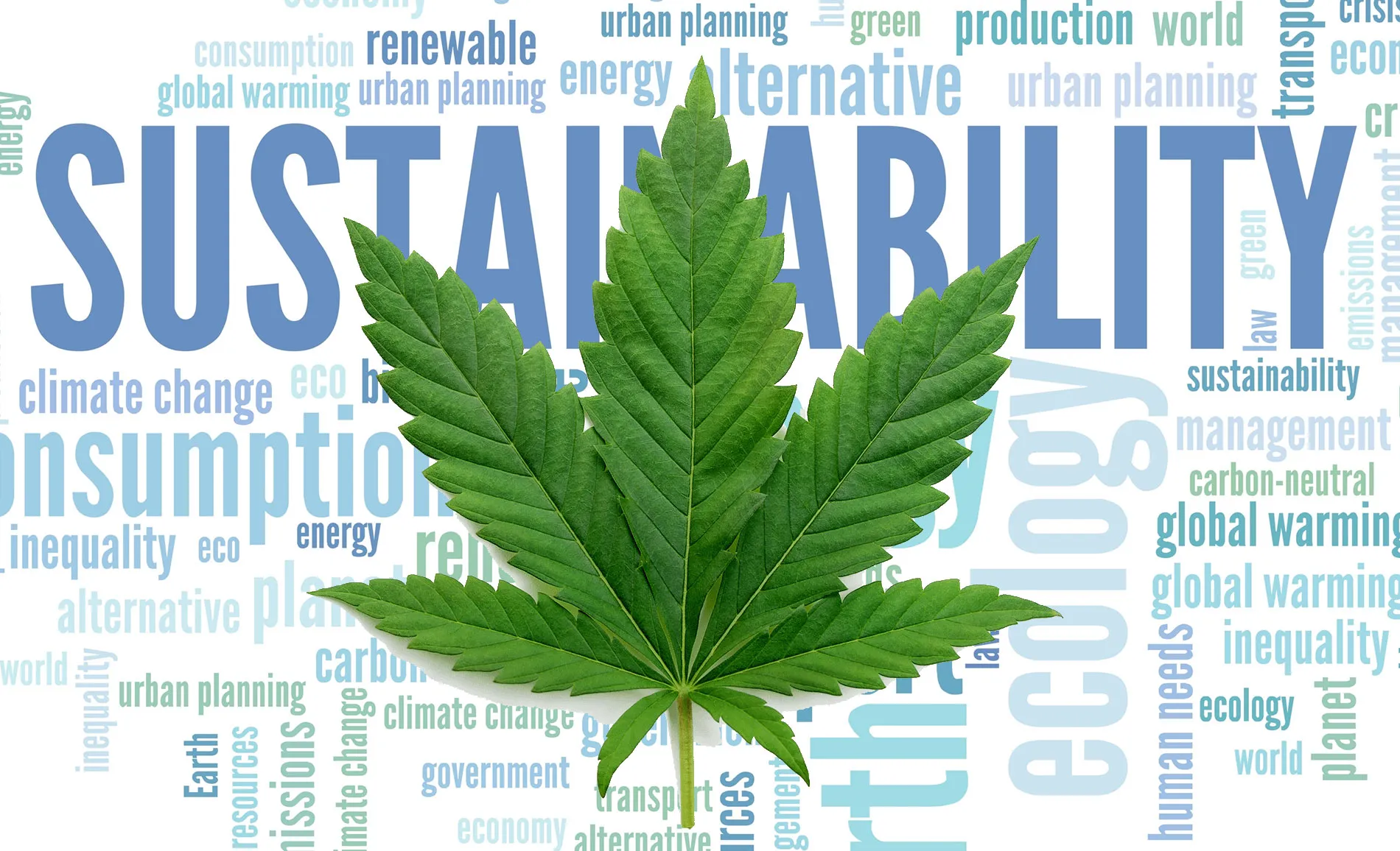 Cannabis Companies Push Toward Sustainability